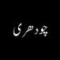 Chaudhary